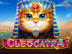 Dragon tiger casino online83